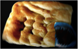 stacks_image_13EF8B88-5FCA-44EC-87CA-3C65DA10AF8D